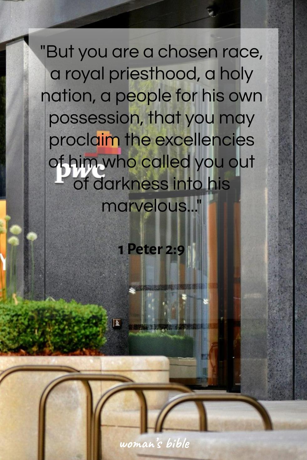 daily verse for woman Wednesday, February 4th, 2026 1 Peter 2:9