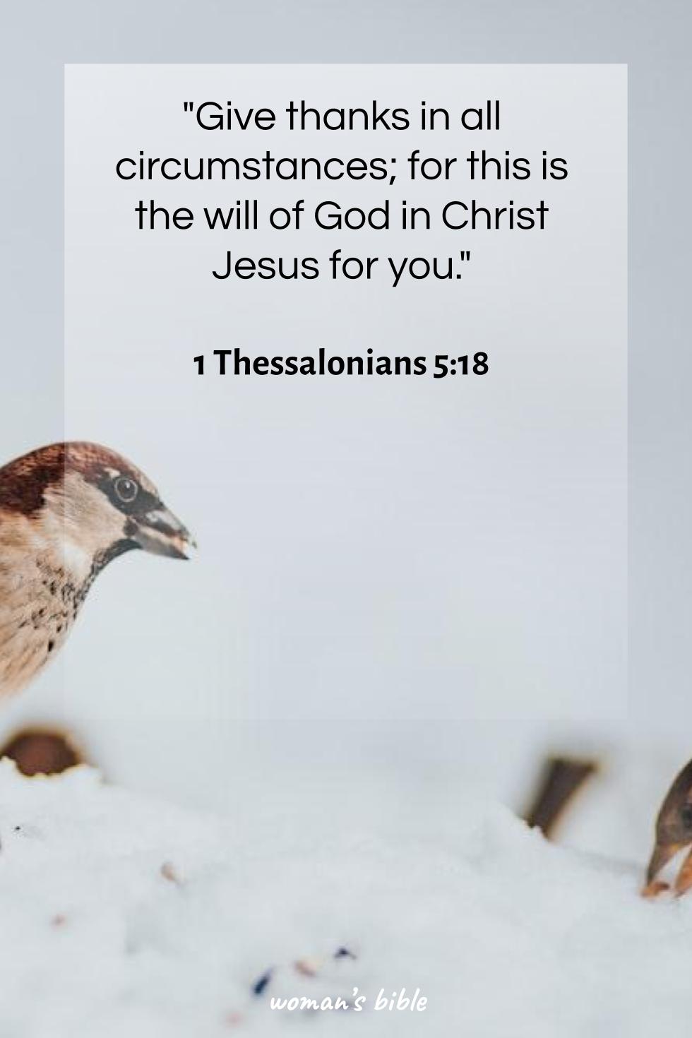 daily verse for woman Saturday, March 7th, 2026 1 Thessalonians 5:18