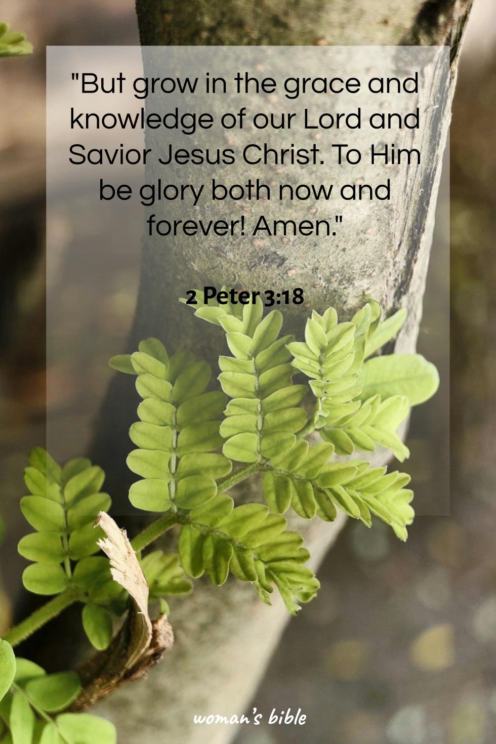 daily verse for woman Monday, April 20th, 2026 2 Peter 3:18