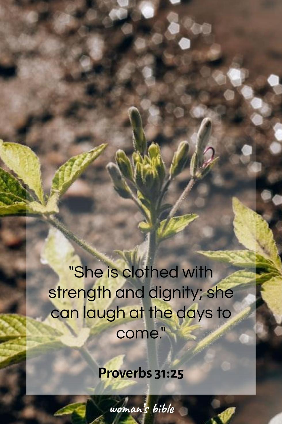 daily verse for woman Monday, April 27th, 2026 Proverbs 31:25