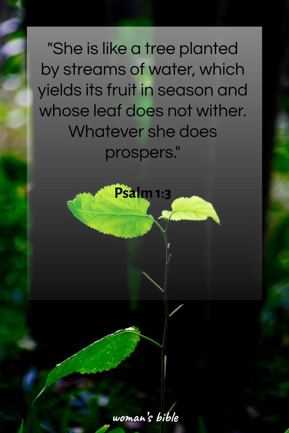 daily verse for woman Sunday, April 12th, 2026 Psalm 1:3